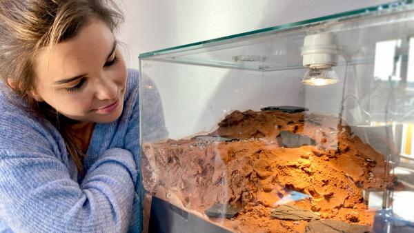 Bild 1 von 5: Am meisten Spaß macht es Anna, zu beobachten, wie die Ameisen sich gegenseitig helfen und zusammenarbeiten.