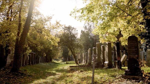 Bild 1 von 12: Im Bild: Zentralfriedhof.
