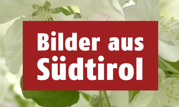 Bild 1 von 2: Bilder aus Südtirol