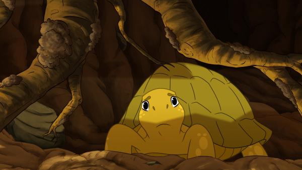 Bild 1 von 2: Schildkröte Törtel ist eingesperrt im unterirdischen Bau von Dachs Kalle und das, kurz nachdem dort eine Schatzkiste aufgetaucht ist.©ZDF/ Caligari Film/  Honorarfreie Verwendung gemäß AGB im redaktionellen Zusammenhang mit genannter Sendung bei Nennung \