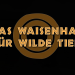 Das Waisenhaus für wilde Tiere