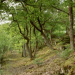 Erlebnis Hessen