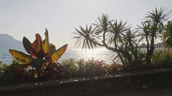 Bild 1 von 9: Montreux-Rochers de Naye