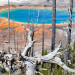 Yellowstone