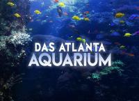 Das Atlanta-Aquarium