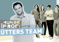 Der Hundeprofi - Rütters Team