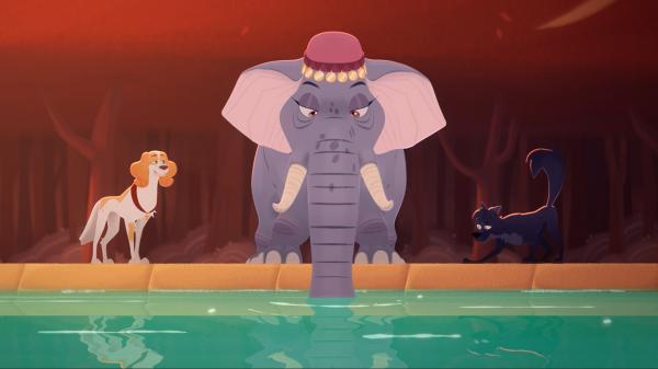 Bild 1 von 3: Die Elefantendame Madame Rosa saugt mit ihrem Rüssel das Wasser aus dem Becken.