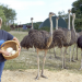 Land und lecker