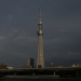 Strip the City - Tokio