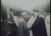 Hitler-Interviews - Die letzten Zeugen