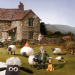 Shaun das Schaf