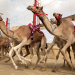 Wildes Arabien
