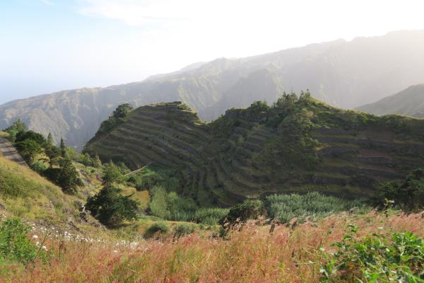 Bild 1 von 3: An den steilen Vulkanhängen von Santo Antão haben Bauern Terrassenfelder angelegt.