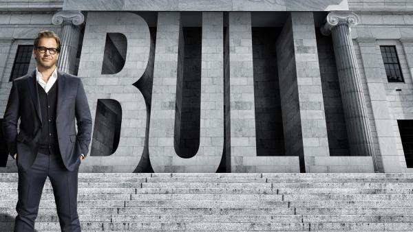 Bild 1 von 19: (1. Staffel) - BULL - Artwork