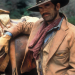 Die Abenteuer des Brisco County Jr.