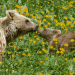 Abenteuer Wildnis
