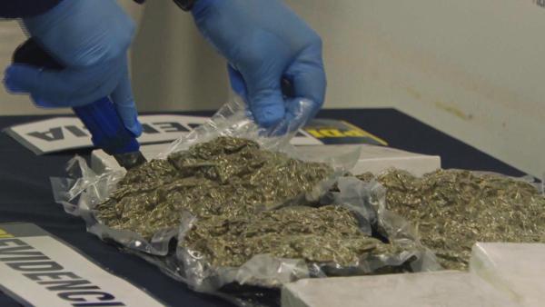 Bild 1 von 2: In einem der verdächtigen Gepäckstücke entdecken die Ermittler vakuumverpackte Drogen - ein klarer Treffer für die Kontrolleure.