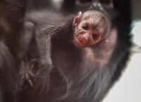 Zoo und so - Tierisch wild!