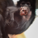 Zoo und so - Tierisch wild!