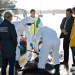 Brokenwood - Mord in Neuseeland