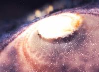 USA Top Secret: Die Alien-Enthüllung