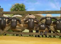 Shaun das Schaf