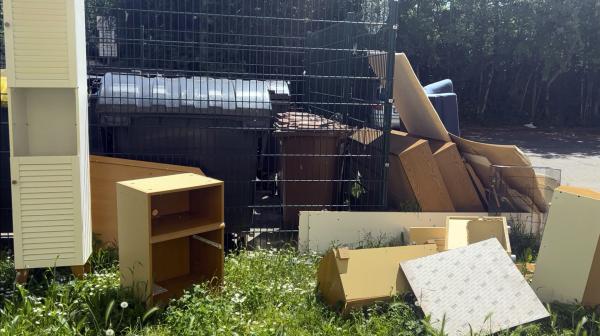 Bild 1 von 7: 