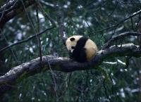 China - Reise durch die Jahreszeiten