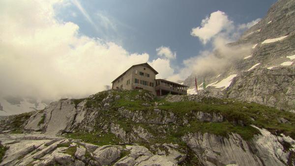 Bild 1 von 1: .