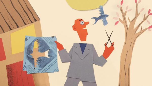 Bild 1 von 11: Mister Paper