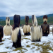360° Reportage