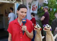 Ein Fall für die Erdmännchen