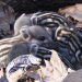 Abenteuer Wildnis