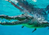 Kuba - Im Rhythmus der Natur