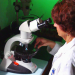 Medical Detectives - Geheimnisse der Gerichtsmedizin