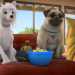 Mighty Mops