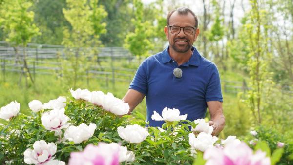 Bild 1 von 6: Im Bild: Karl Ploberger.