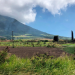 Mit dem Zug auf St. Kitts