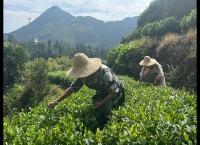 The Chinese Dream - 24 h junges China