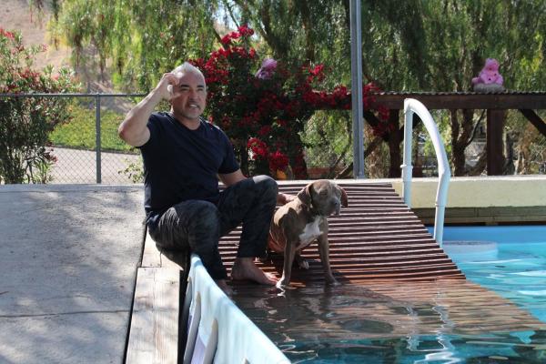 Bild 1 von 4: Cesar Millan