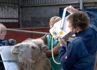 Tierarzt für alle Felle