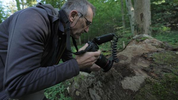 Bild 1 von 4: Beat Wermelinger ist befasst sich nicht nur beruflich mit Larven und Insekten. Er fotografiert sich auch leidenschaftlich gerne.