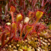 natur exclusiv