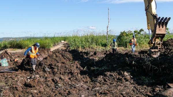 Die Schatzsucher von Oak Island