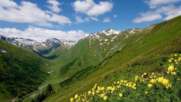 Bild 1 von 22: Im Bild: Blick Richtung Murursprung