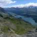 Unsere wilde Schweiz