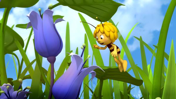 Bild 1 von 6: Maja findet eine blaue Blume.