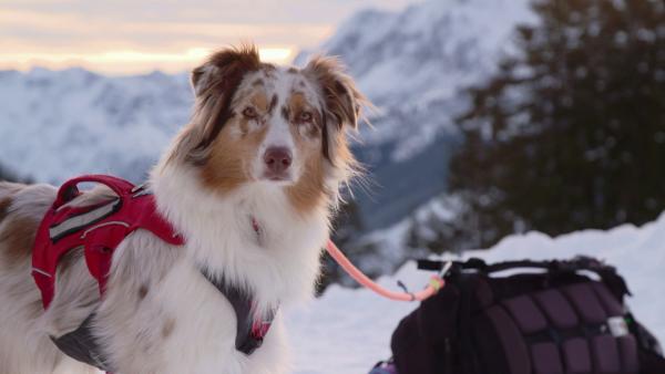 Bild 1 von 2: In dieser \