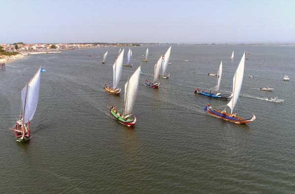 Bild 1 von 3: In der Lagune rund um Aveiro waren Moliceiros einst Transportmittel für Algen, Salz und Reis. Heute nutzt man die Segelboote für Regatten.