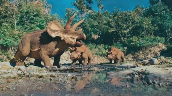 Bild 1 von 5: Lange galt der Triceratops als Einzelgänger. Doch neueste Funde belegen, dass Jungtiere in kleinen Gruppen lebten.